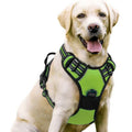 Amazon pet's chest-back hand holding rope dog dog leash big and small dogs multi-layer chest strap pet products factory batch
