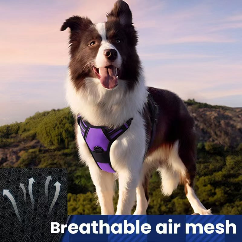 Amazon pet's chest-back hand holding rope dog dog leash big and small dogs multi-layer chest strap pet products factory batch