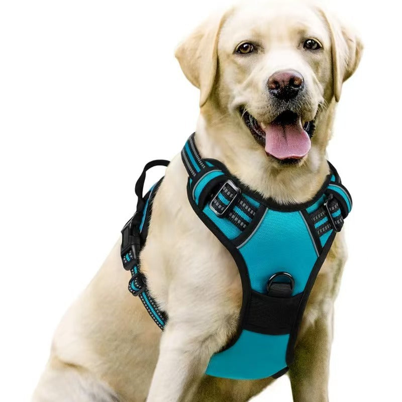Amazon pet's chest-back hand holding rope dog dog leash big and small dogs multi-layer chest strap pet products factory batch
